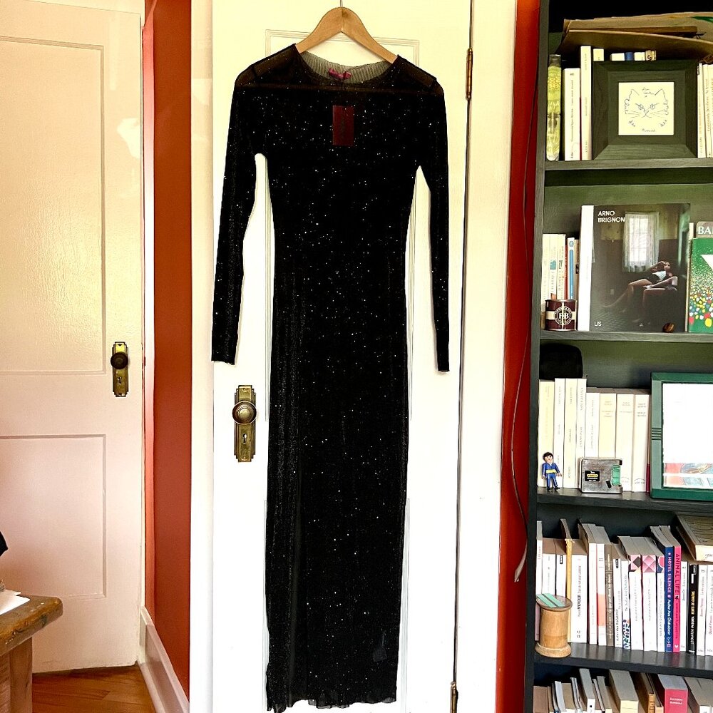 NWT Long sheer glittery dress